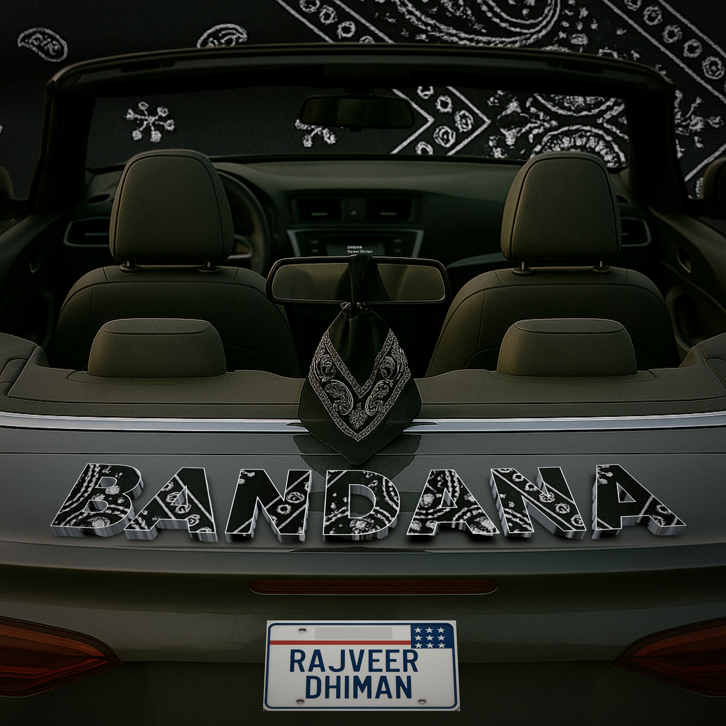 Bandana Rajveer Dhiman