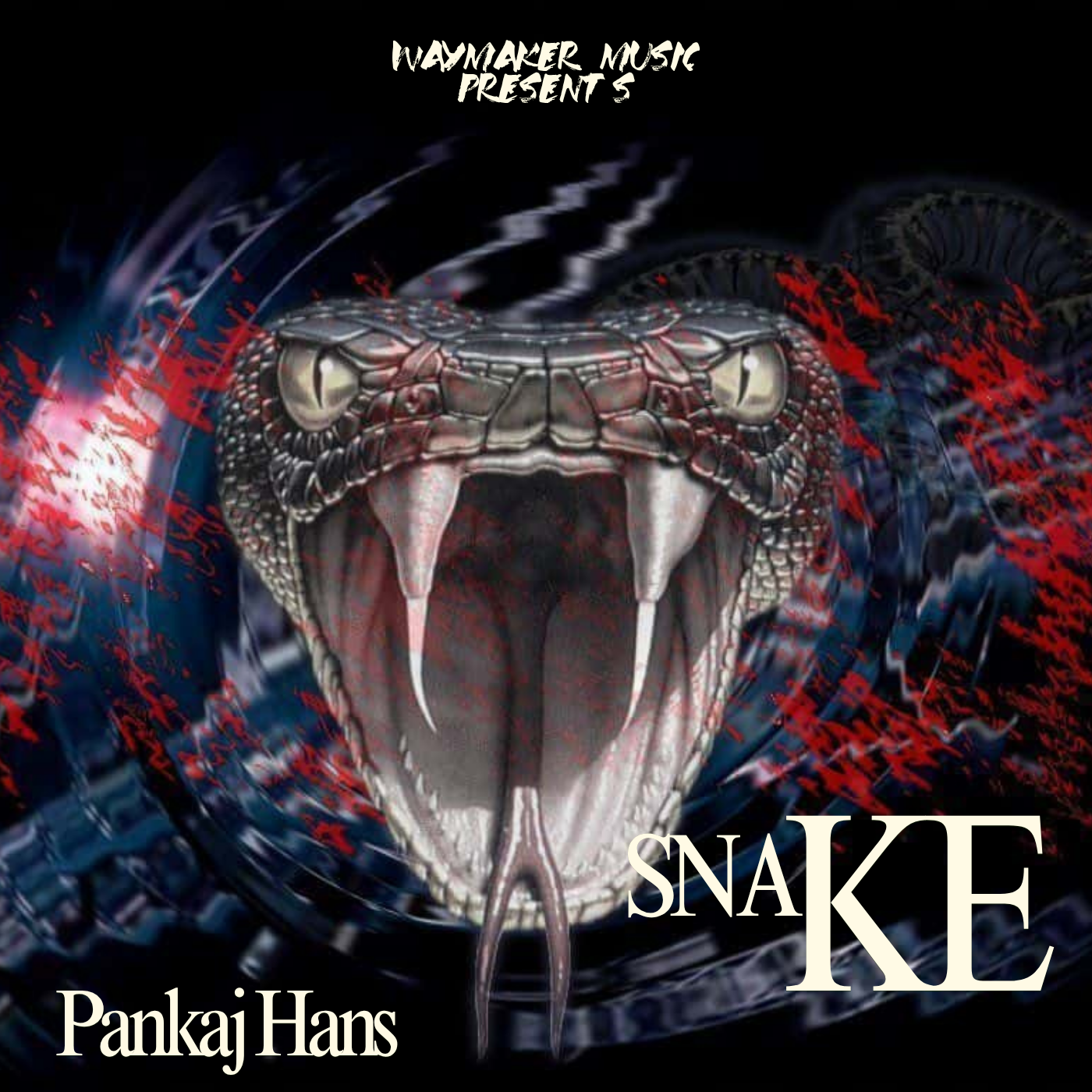 Snake Pxnkaj Hans