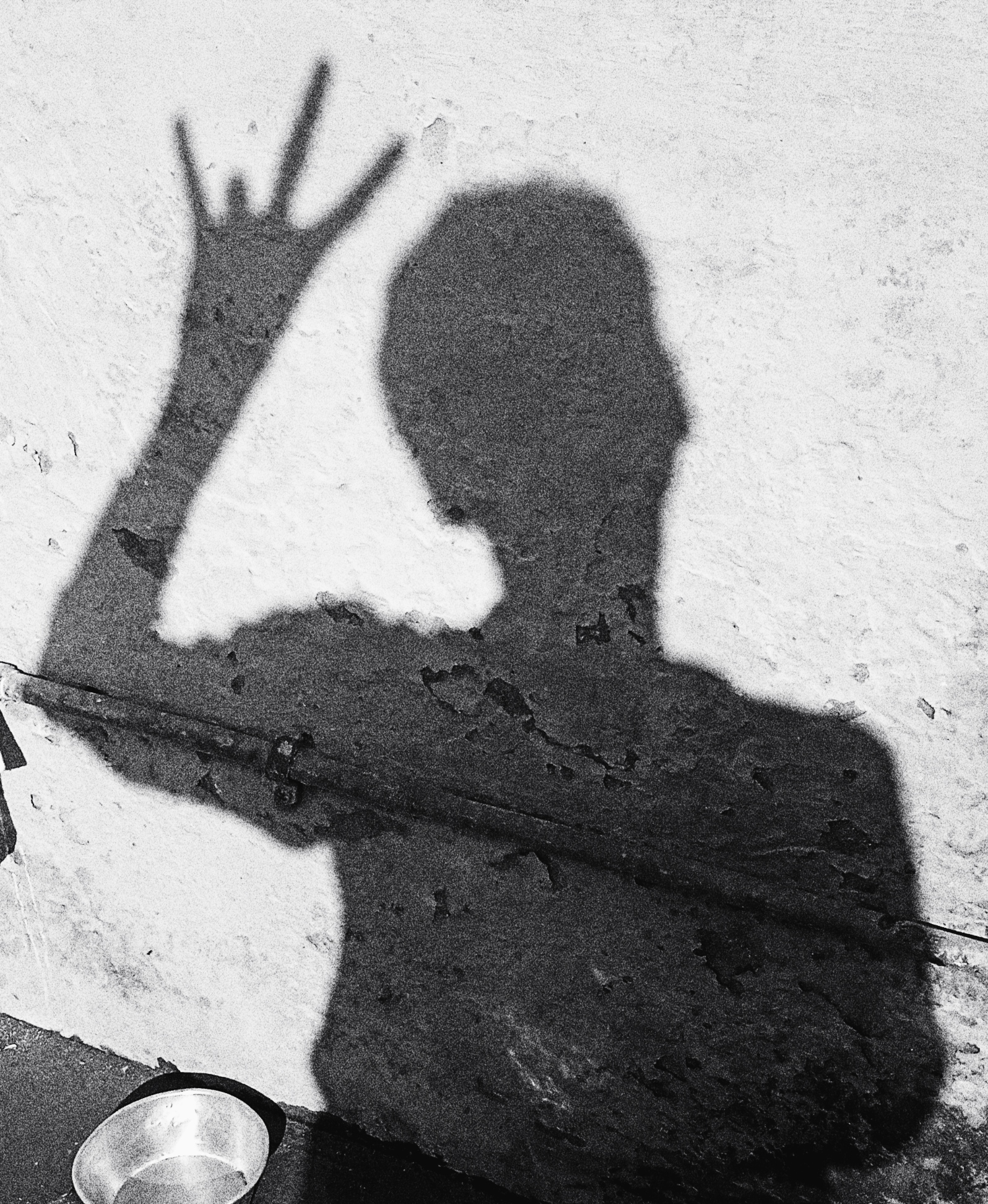 Clearance Guri birdi