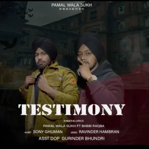 Testimony - pamal wala sukh song cover